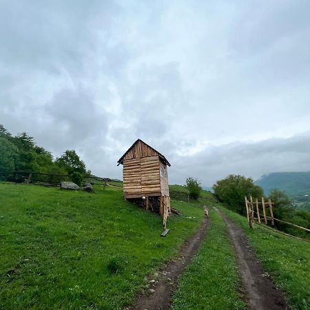 Alereks Mountain Camping Tumanyan Eksteriør billede
